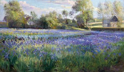 Dappled Light on the Iris Field by Timothy Easton